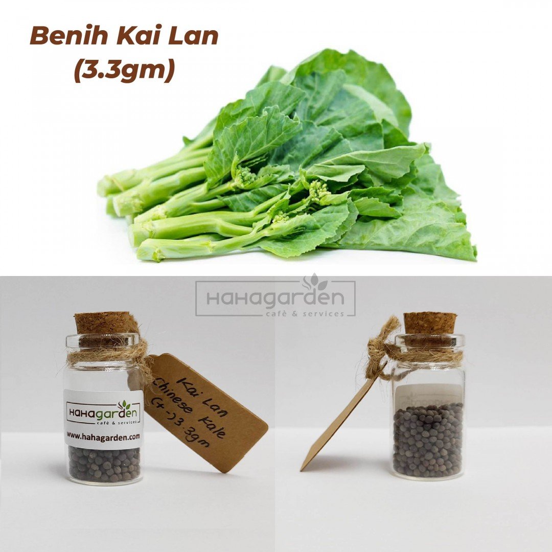 Vegetable Seeds – Biji...