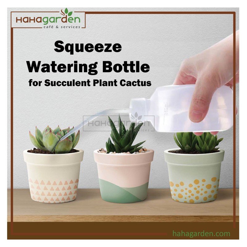 Squeeze Watering Bottle for Succulent Plant Cactus (250ml)