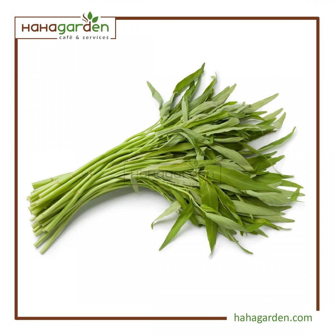 5 Gram Broadleaf Water...