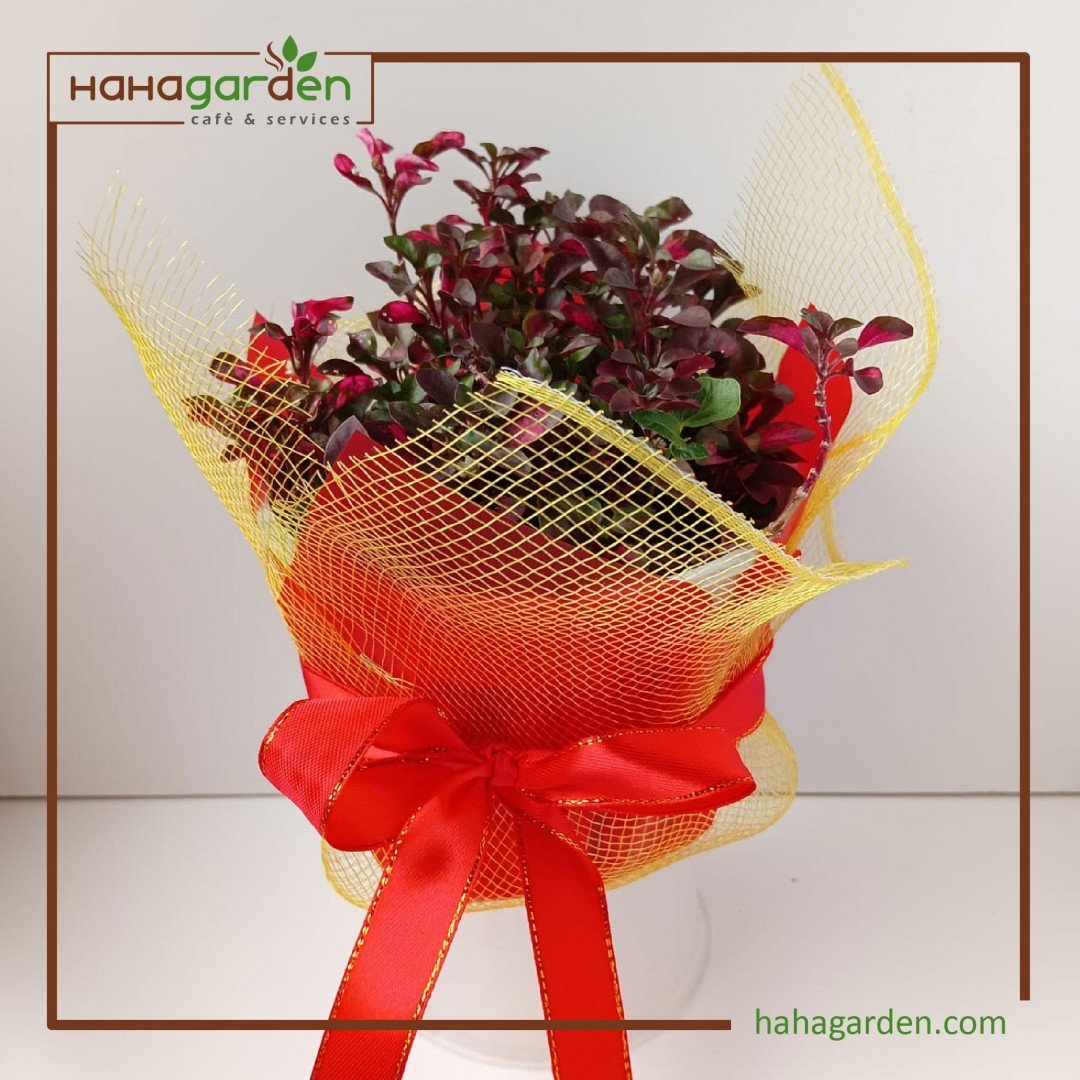 Elegant Plant Wrapping -...