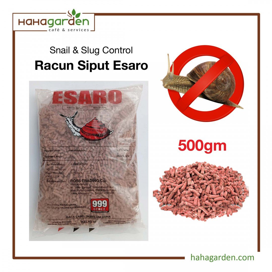 ESARO Racun Siput/ Esaro...