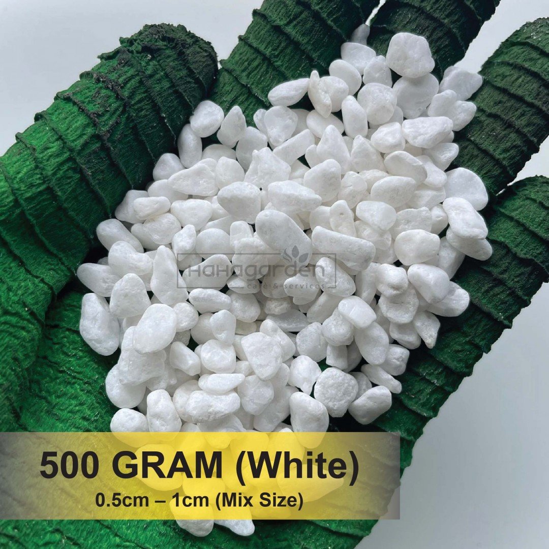 500 GRAM White Pebbles/...