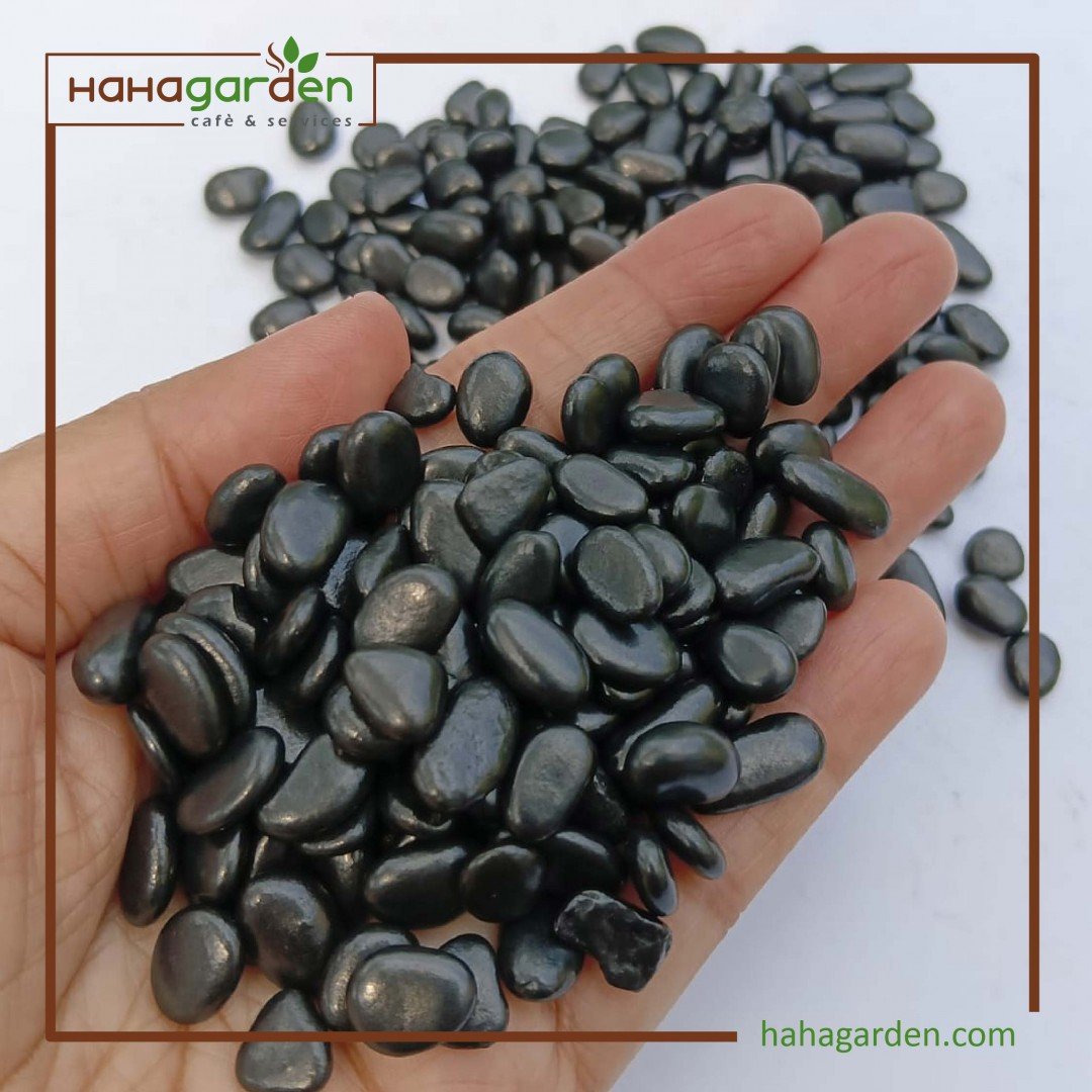 Shinning Black Stones/ Batu...