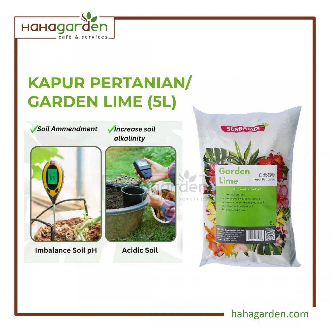Serbajadi Garden Lime –...