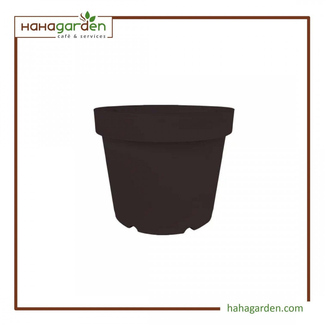 Baba TN-3450-A Flower Pot...